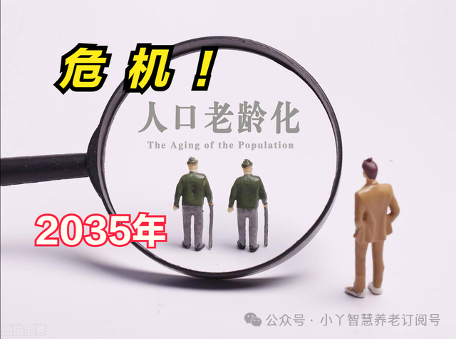 适老产品国内市场全面解析：从政策到技术，全方位助你掌握商机！